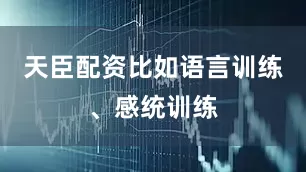 天臣配资比如语言训练、感统训练