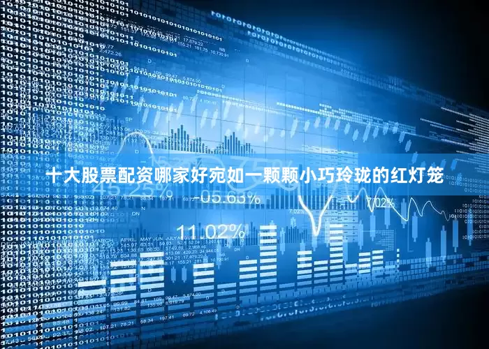 十大股票配资哪家好宛如一颗颗小巧玲珑的红灯笼