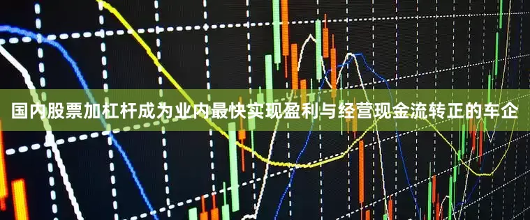 国内股票加杠杆成为业内最快实现盈利与经营现金流转正的车企